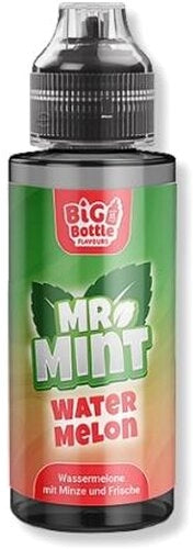 Big Bottle - Mr. Mint - Longfills Aromen
