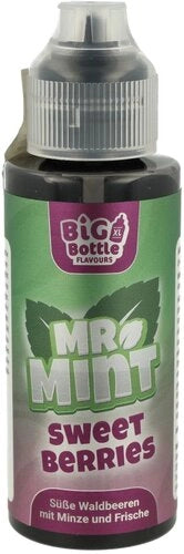 Big Bottle - Mr. Mint - Longfills Aromen